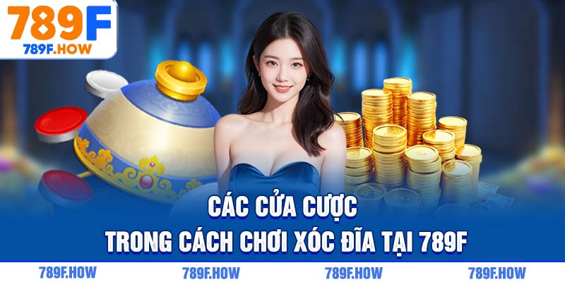 Các cửa cược trong cách chơi Xóc Đĩa tại 789F